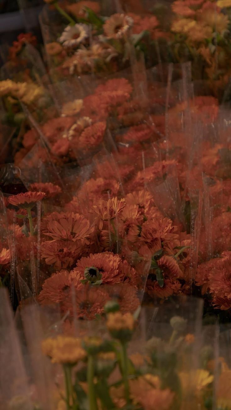 Sep 19 | An Afternoon in Bloom
